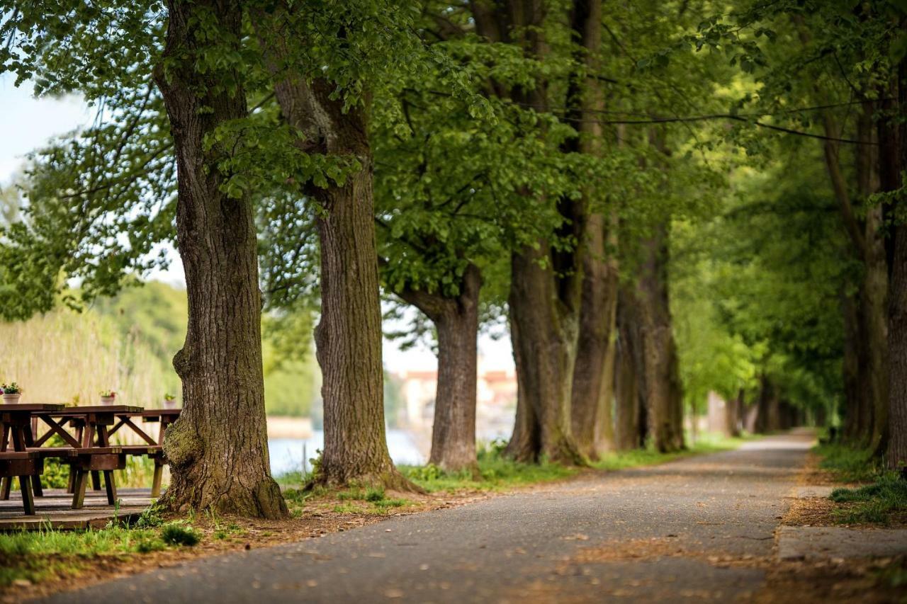 Penzion Labska Marina Poděbrady Extérieur photo